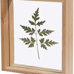 Frame for Leaf Décor 35 inch Frame for Leaf Décor-28