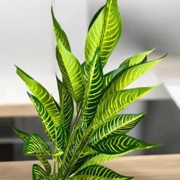 Shanol Artificial Money Plant 21 Leaves Tree Plant Without pot Bonsai Artificial Plant-image-21