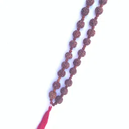 5 Mukhi Rudraksha Kantha Kawach – Premium Indonesian & Nepali Combination Rudraksha Chain-image-19