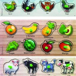Wooden Puzzle with Knobs Educational Toy for Kids Birds + Fruit+ Domestic Animal-1