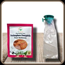 Pink Bollworm Pectinophora gossypiella Pheromone Trap & Lure for Cotton Pack 05 Grass Wet and Dry Broom-image-4