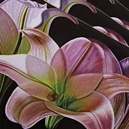 Kuber Industries Pink & Black 6 Pieces Floral-Print Reversible Rectangular Table Placemats image 4