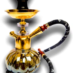 Limited Edition printed IRON TRAY 11 inch Gold Plated, Glass Hookah-image-5