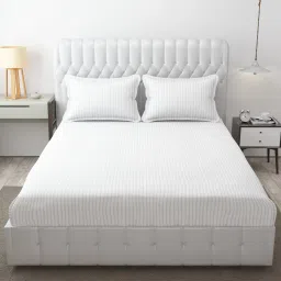 240 TC Cotton Blend Double Geometric Flat Bedsheet-image-66