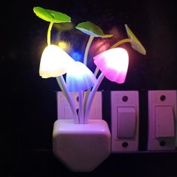 Night Lamp Multicolor LED Night Light Night Lamp-image-42