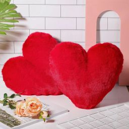 Microfibre Solid Cushion Pack of 2-image-83