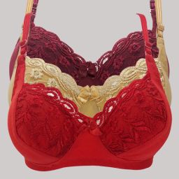 Pack of 3 Women Everyday Non Padded Bra-35