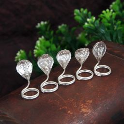 Nag (5 pc combo) 5gm Pure Silver Decorative Showpiece - 1.27 cm-image-42