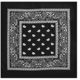 PAROPKAR Paisley 3 piece Cowboy Handkerchife Cotton Hanky ["Black"] Handkerchief-image-33