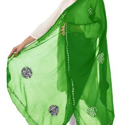 Chiffon Embellished Green Women Dupatta-image-3