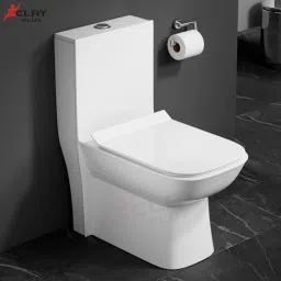 Platinum Ceramic /Water Closet/ With Soft Close Toilet Seat 1006 Western Commode-29