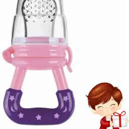 SST Sales Baby Food And Fruit Nibbler & Pacifier Teether BPA Free Nibbler BD377 Feeder-image-5