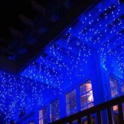 40 LEDs 11 m Blue Steady String Rice Lights-image-86