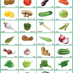 Early Learning Educational Charts for Kids | Vegetables Chart For Kids | 28x40Inch (70x100cm)| Laminated chart | Perfect for Homeschooling, Kindergarten and Nursery Students| Waterproof and Non tearable Wall Chart | Gloss Laminated Paper Print. Paper Print-7