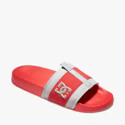 Lynx Logo Print Slides-12