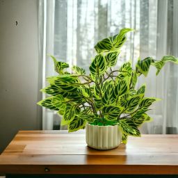 Artificial Plants With Pot For Living Room Home Decoration Ficus Artificial Plant with Pot-22