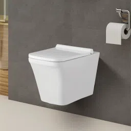 bherunath Wall Mounted P Trap Commode With Soft Seat Cover Cistern Flushing Concealed With Chrome Flush Plate - 10 L DT Western Commode image 4