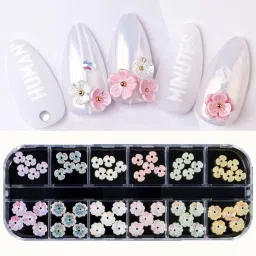 60 PCs Resin 3D Shell Flowers Nail Decoration Accessories in 12 Grids-image-41
