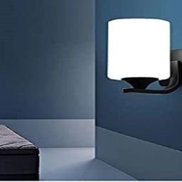 Picture Light Wall Lamp Without Bulb-image-38