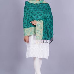 Woven Viscose Women Green Stole-image-48