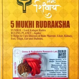5 Mukhi Rudraksha With Lab Certified, Wood Pendant-image-1