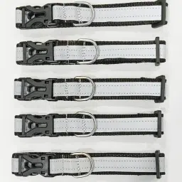 Dog & Cat Everyday Collar-12