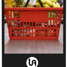 Uprisen Antraajaal 109.22 cm (43 inch) Full HD IPS Panel Monitor (43 Inch A Shape Digital standee)-image-38