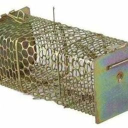 Iron rat box and rat Live Trap-21