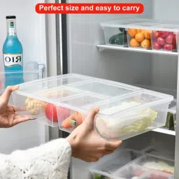 Multipurpose Plastic Storage Box with 5 Dividers (Transparent), Rectangular Storage Box-14
