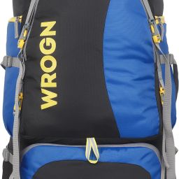 Trekking Bag For Hiking/Camping/Outdoor Sports with Rain Cover/Shoe Compartment Rucksack - 65 L-image-19