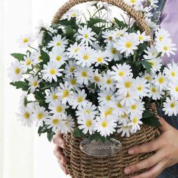 White Polyester Artificial Flower by Art Street-picture-4