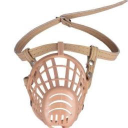 Small Other Dog Muzzle-image-34