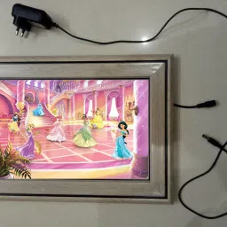 , CINDERELLA MODAL NO-18 , 15.5 inch LED PHOTO FRAME-24