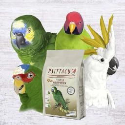 High Protein Daily Pellet Bird Food for Parrots 3 kg Dry Adult Bird Food-image-63