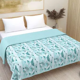 Plarsh Comfort Blue Printed Premium Soft 300 GSM Pure Cotton Reversible Double Bed Dohar-image-90