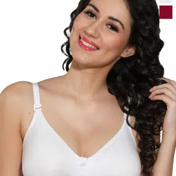 INGRID WomenCombo Non Padded Cotton Everyday Non Wired Tshirt Bra-image-40