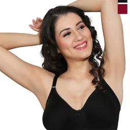 INGRID WomenCombo Non Padded Cotton Everyday Non Wired Tshirt Bra-image-39