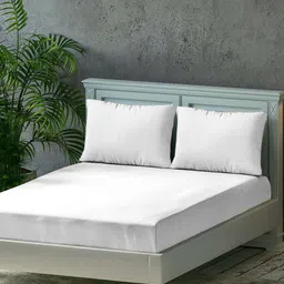 Trance Home Linen White 300 TC Pure Cotton Fitted King Bedsheet With 2 Pillow Covers-image-87