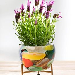 Nymph Reva Home Yellow & White 2 Pieces Printed Planters With Stand-21