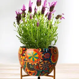 Nymph Reva Yellow & Red 2 Pieces Printed Flower Planters With Stand-34