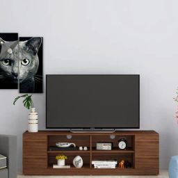 woodbuzz George Wood TV Console in Walnut finish-picture-3