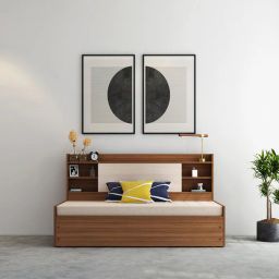 mintwud from pepperfry Marcos Pull-Out Sofa Cum Bed in Brown Finish-picture-32