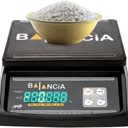 Nac Global weight machine with 30kg to 1gm & double display Weighing Scale-24