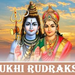 generic SRT Rudra 2 Mukhi Rudraksha Original Certified 2 Face Rudraksha Pendant With Silver Capping 2 Mukhi Rudraksha Nepali Do Mukhi Rudraksha Blessed By Shivshakti Dwimukhi Rudraksha Original 2 मुखी रुद्राक्ष Two Face Rudraksha Original image 5