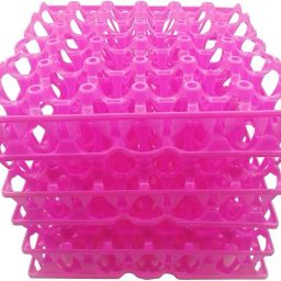Egg holder Egg Holder-image-65
