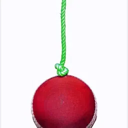 Club Red Leather Cricket Hanging, Knocking & Practice Ball ( Pack Of 1 ) Cricket Leather Ball-image-36