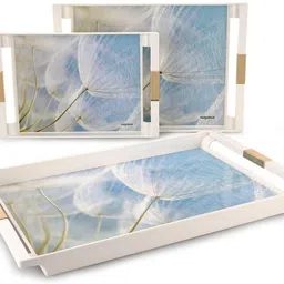 nayasa Deco Serving Tray Set of 3 Big Medium and small Tray Tray-picture-35
