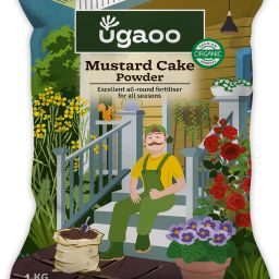 Mustard Cake Powder for Healthy Plants Soil-image-16