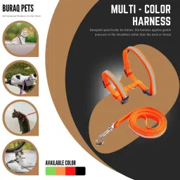 buraq Reflective Cat Harness with Leash Set for Walking , Escape Proof Cat Harness & Leash image 2