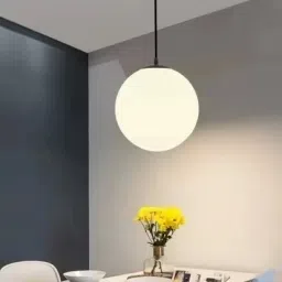 Pendants Ceiling Lamp-image-57